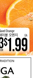 Navel Orange
