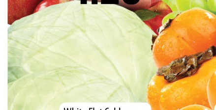 卷心菜