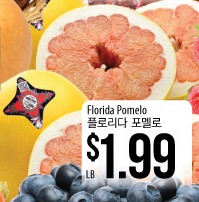 Florida Pomelo