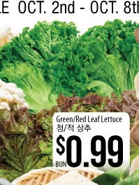Green/Red Leaf Lettuce