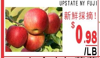 纽约上州富士