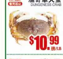 温哥华大蟹