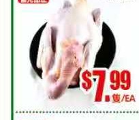珍珠鸡