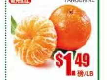 红皮蜜橘