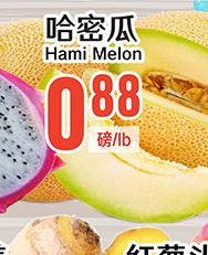 哈密瓜 Hami Melon