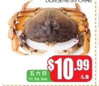 双钳温哥华大蟹