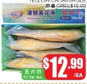 冻鲜黄花鱼