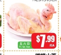 三黄走地鸡