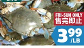 生猛活藍蟹
