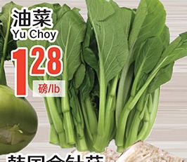 油菜 Yu Choy