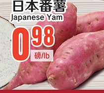 日本番薯 Japanese Yam