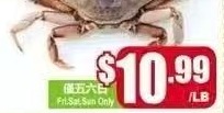 双脚温哥华蟹