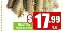游水虾蛄