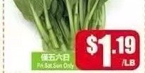 散油菜
