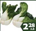 奶油菜苗