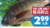 新鲜立鱼