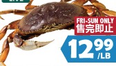 生猛温哥华大肉蟹
