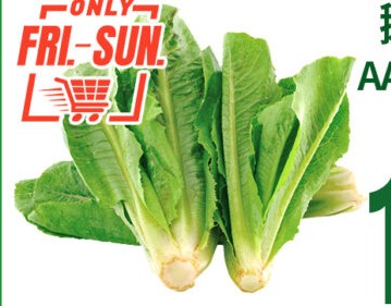 鹅仔菜