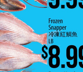 红鲷鱼
