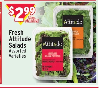 Fresh Attitude Salads