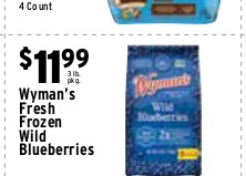 Wyman's Fresh Frozen Wild Blueberries