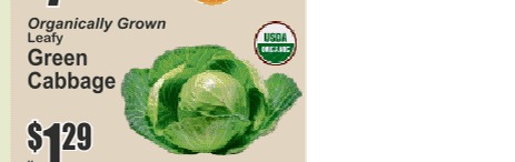 Organically Grown Leafy Green Cabbage