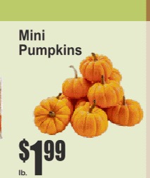 Mini Pumpkins