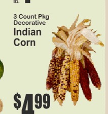 Indian Corn