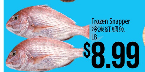 红鲷鱼