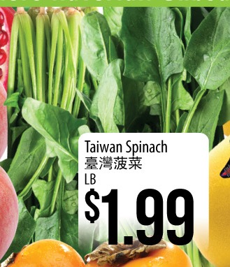 台湾菠菜