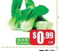 上海菜苗