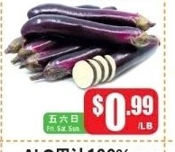 中国茄子