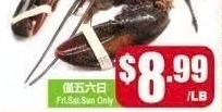 生猛龙虾