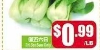 上海苗