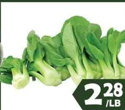 青江菜苗