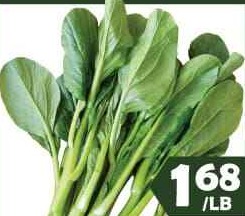 油菜心