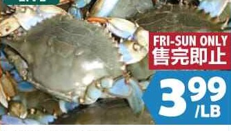 生猛活蓝蟹