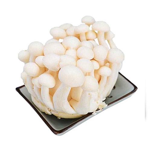 白玉菇