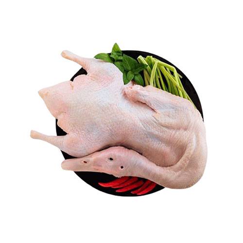 有頭鴨 WHOLE DUCK