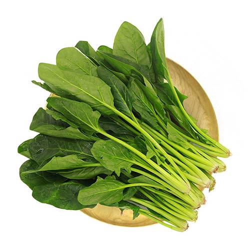 散菠菜