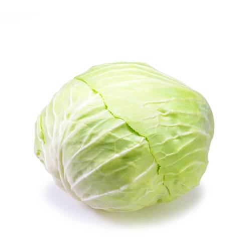 新鲜卷心菜