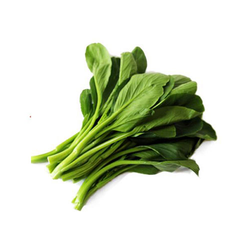 油菜苗