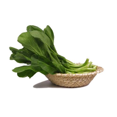 油菜