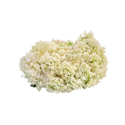 台山菜花