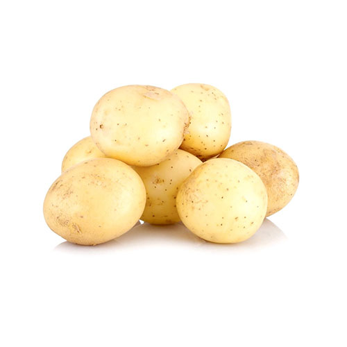 白土豆(美国一级)