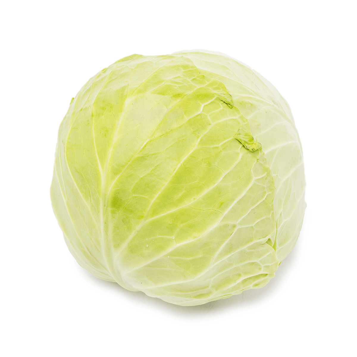 高丽菜