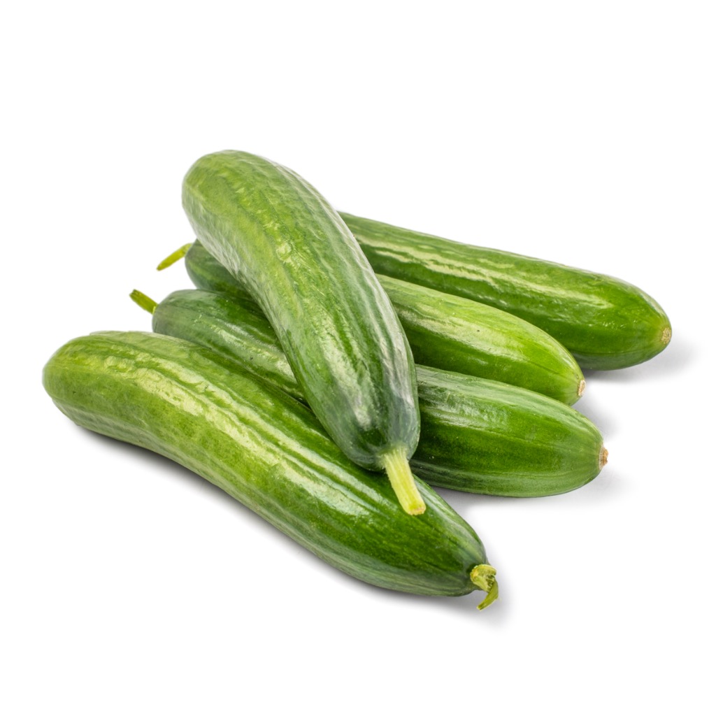 Persian Cucumber