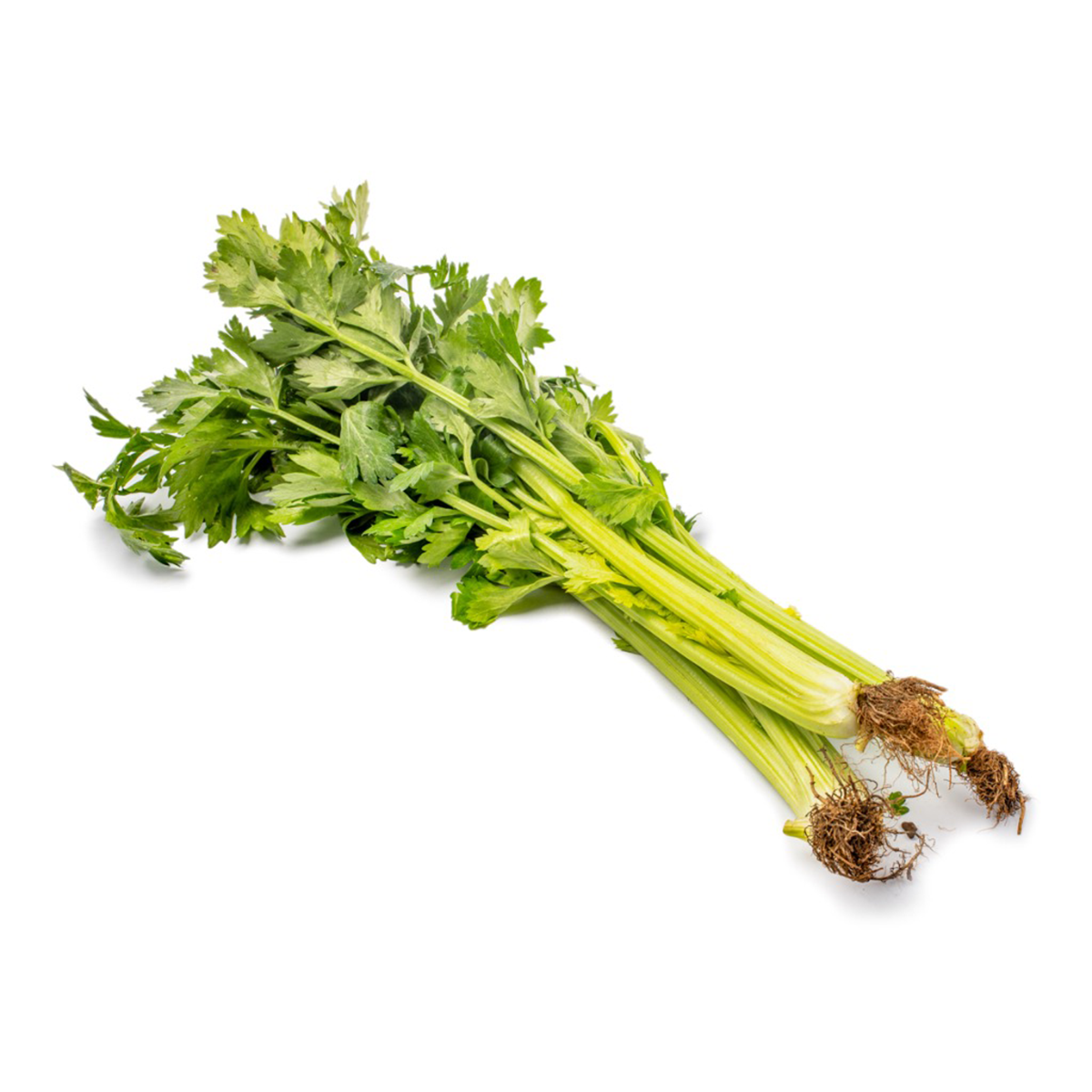 新鲜捆装芹菜