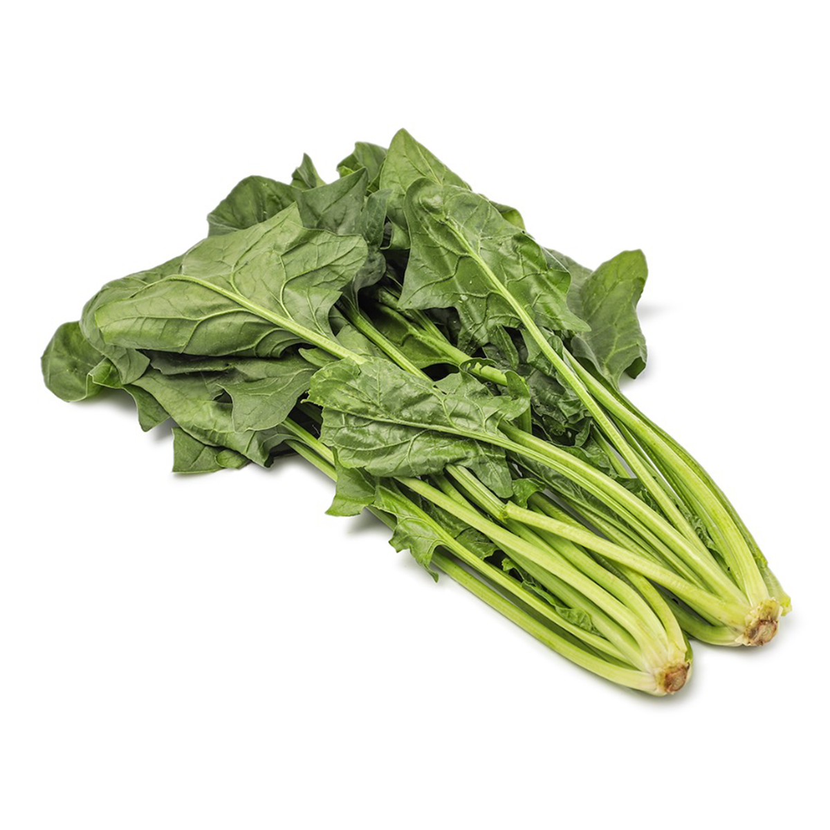 臺灣菠菜