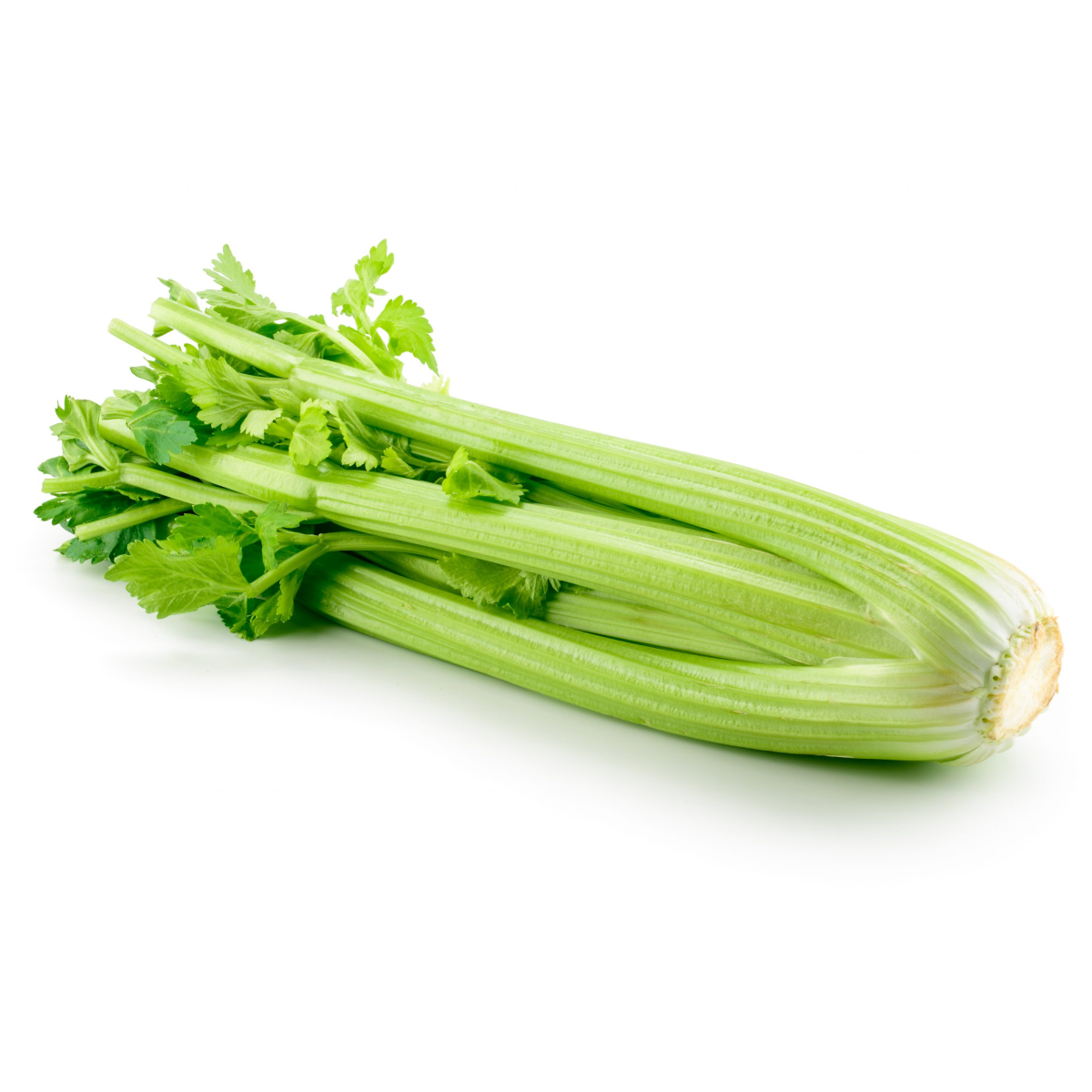 Bunched Celery